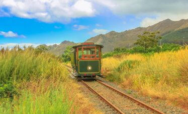 Explore South Africa: Cape Town, Winelands, Johannesburg, Safari, & Beach – 15 Days