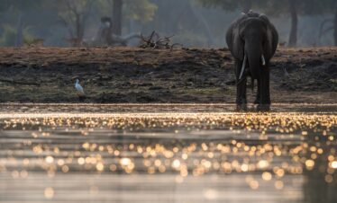 Classic South Africa: Cape Town, Johannesburg, & Kruger Safari – 14 Days