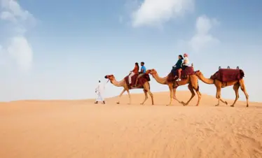 Desert Safari